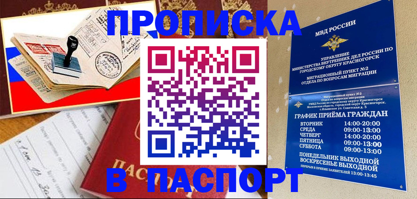 прописка паспорт в Стародубе